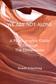 bokomslag We Are Not Alone: A Photographic Guide Through The Dimensions
