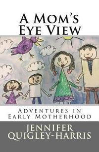 bokomslag A Mom's Eye View: Adventures in Early Motherhood