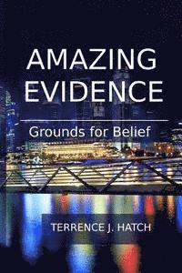 bokomslag Amazing Evidence: Grounds For Belief