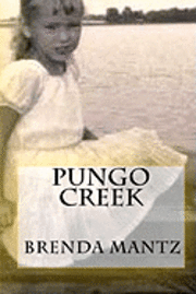 bokomslag Pungo Creek