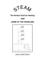 bokomslag Steam: The Perfect Fluid for Heating and Some of the Problems