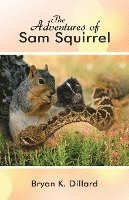 bokomslag The Adventures of Sam Squirrel