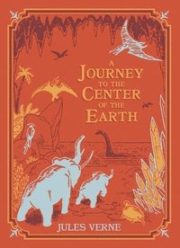 bokomslag A Journey to the Center of the Earth (Barnes & Noble Children's Leatherbound Classics)