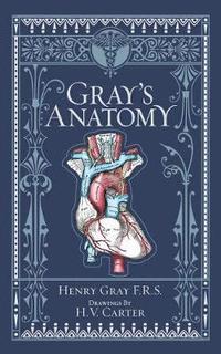 bokomslag Gray's Anatomy (Barnes & Noble Collectible Editions)
