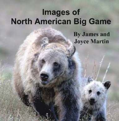 bokomslag Images of North American Big Game