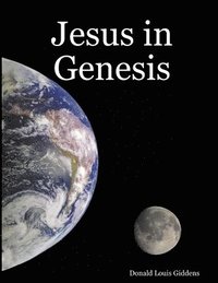 bokomslag Jesus in Genesis