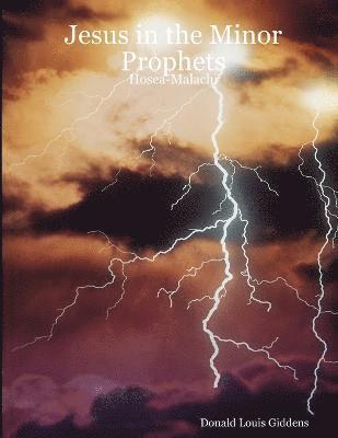 Jesus in the Minor Prophets: Hosea-Malachi 1