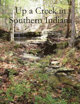 Barb Wood - Up a Creek in Southern Indiana, Häftad