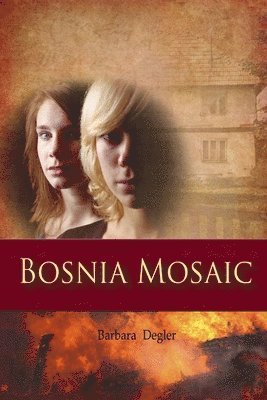 Bosnia Mosaic 1