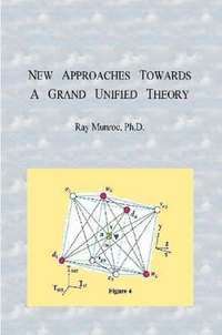 bokomslag New Approaches Towards A Grand Unified Theory