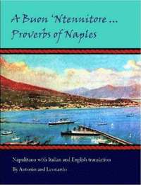 bokomslag A Buon 'Ntennitore ... Proverbs of Naples