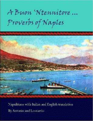 bokomslag Buon 'Ntennitore ... Proverbs of Naples