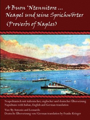 bokomslag Buon 'Ntennitore ... Neapel Und Seine Sprichworter (Proverbs of Naples)