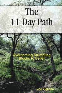 bokomslag The 11 Day Path