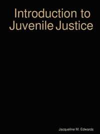 bokomslag Introduction to the Juvenile Justice System