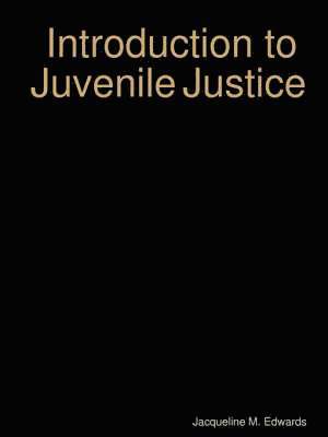 bokomslag Introduction to the Juvenile Justice System