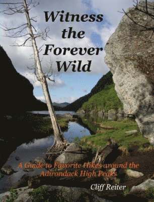Clifford Reiter - Witness the Forever Wild, A Guide to Favorite Hikes Around the Adirondack High Peaks, Häftad