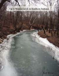 bokomslag Up a Winter Creek in Southern Indiana