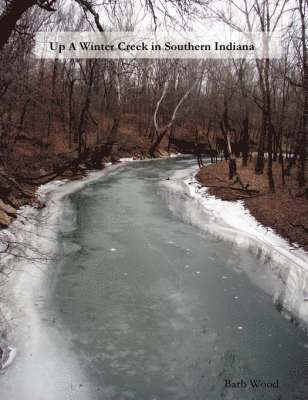 Up a Winter Creek in Southern Indiana 1