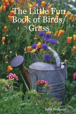 bokomslag Little Fun Book of Birds/Grass
