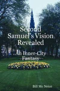 bokomslag Second Samuel's Vision Revealed