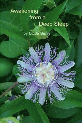 Awakening from A Deep Sleep 1