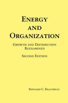 bokomslag Energy and Organization