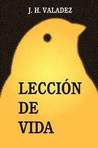 bokomslag Leccion De Vida