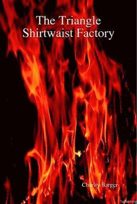 bokomslag Triangle Shirtwaist Factory