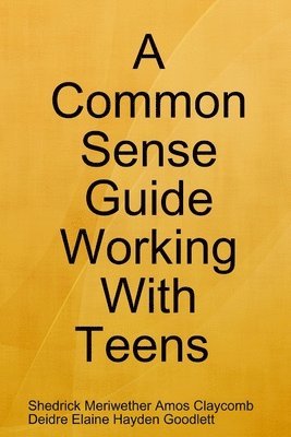 A Common Sense Guide &quot;Working With Teens&quot; Pocket Edition 1