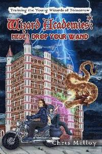 bokomslag Wizard Academies - Never Drop Your Wand