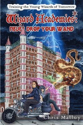 bokomslag Wizard Academies - Never Drop Your Wand