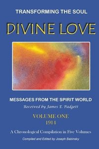 bokomslag DIVINE LOVE - Transforming the Soul VOL.I