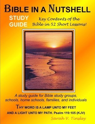 bokomslag Bible in a Nutshell Study Guide