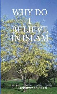 bokomslag Why Do I Believe in Islam