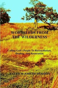 bokomslag WORDSEEDS FROM THE WILDERNESS - Calling God's People To Reconciliation, Healing, And Restoration