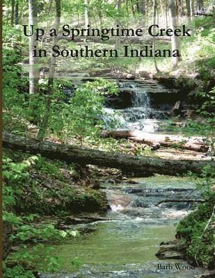 Up A Springtime Creek In Southern Indiana