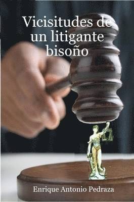 bokomslag Vicisitudes De Un Litigante Bisono