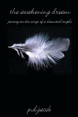 bokomslag AWAKENING DREAM - Journey on the Wings of a Thousand Angels