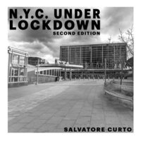bokomslag N.Y.C. Under Lockdown