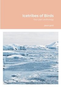 bokomslag Icetribes of Birds