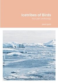bokomslag Icetribes of Birds