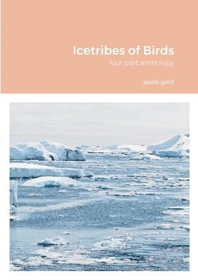 Jason Gold, jason gold - Icetribes of Birds, Häftad