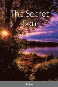 bokomslag The Secret Son