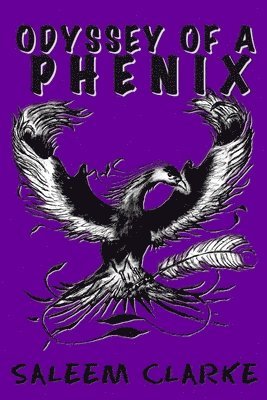 bokomslag Odyssey of a Phenix