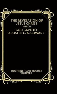 bokomslag Soteriology