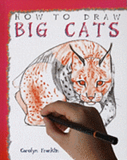 Carolyn Franklin - How to Draw Big Cats, Inbunden