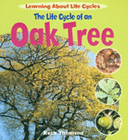 Ruth Thomson - The Life Cycle of an Oak Tree, Häftad