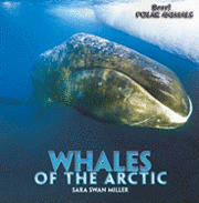Sara Swan Miller - Whales of the Arctic, Häftad. Tillgänglighet: Tillfälligt slut