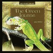 The Green Iguana 1